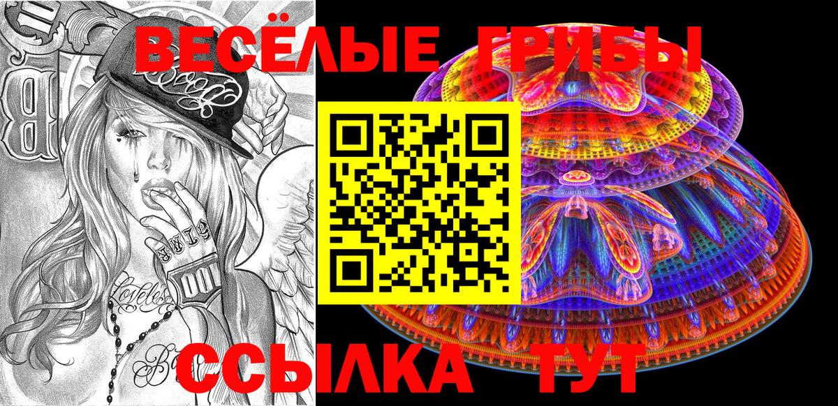 Галлюциногенные грибы Psilocybine cubensis Кимры